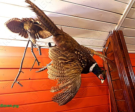 Баня Домик охотника