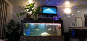 Сауна Славная