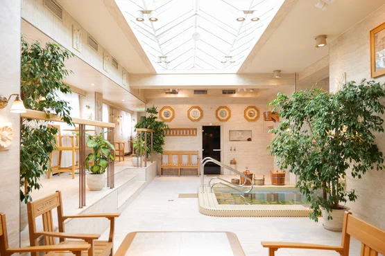 Сауна Римские термы