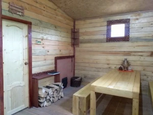 Баня в Жилино