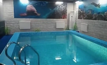 Сауна Дельфин