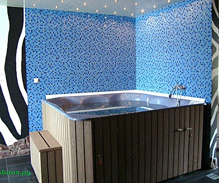 Номер 5 Зебра