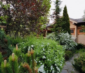 Баня Лесные дали