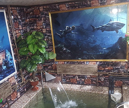 Сауна Глобус