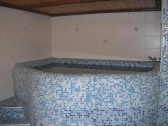 Сауна Пародей