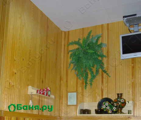 Финская сауна