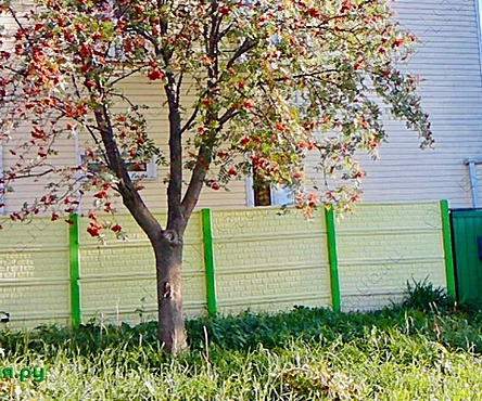 Баня у воды