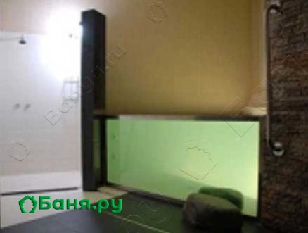 Сауна со львом