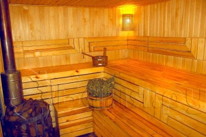 Баня Аркуда