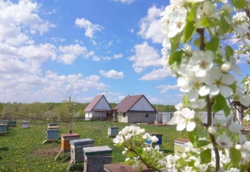 Баня-гостевой дом Пасека Лопатиных