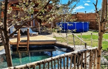 Баня с пчелами АПИбаня