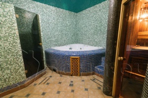 Сауна Гагарина 50