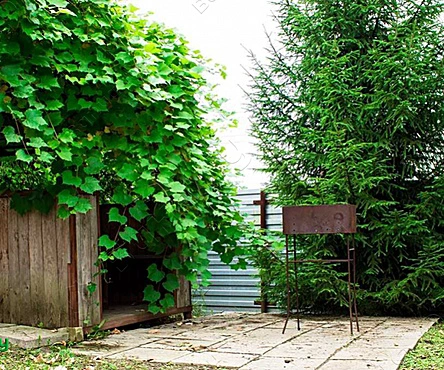 Русская баня на дровах