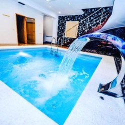 Сауна Арион