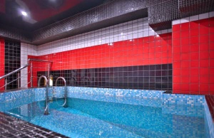 Сауны на проспекте Большевиков