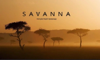 Сауна Саванна Сауна Саванна