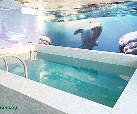 Финская парная