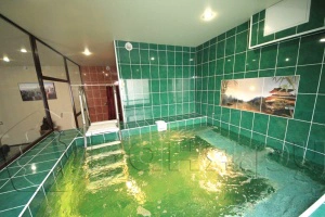 Сауна Визит