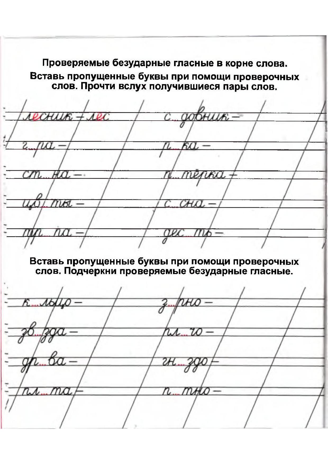 Проверочное слово почерк