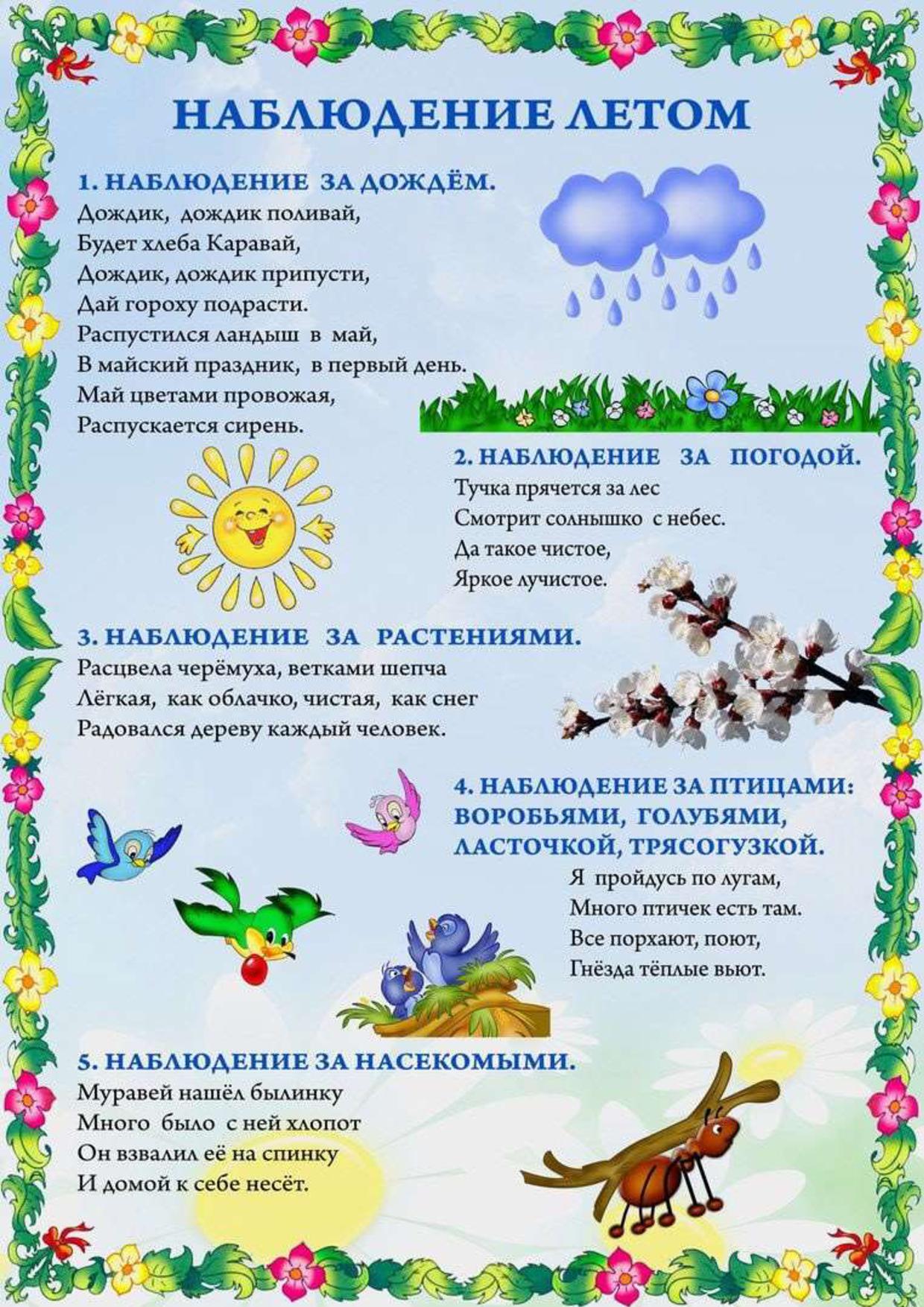 Картинки Наблюдения В Детском Саду