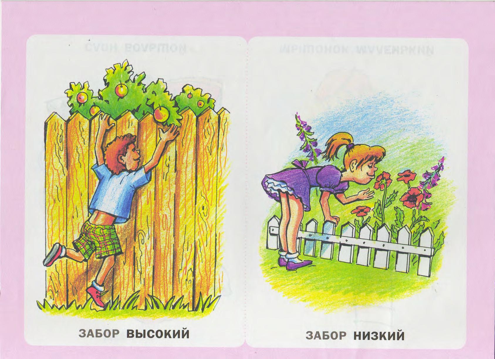 Высокий низкий антонимы картинки