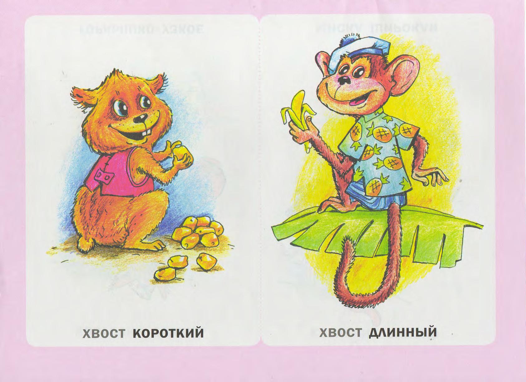 Кто придумал Instagram - Астролог Бичай Людмила