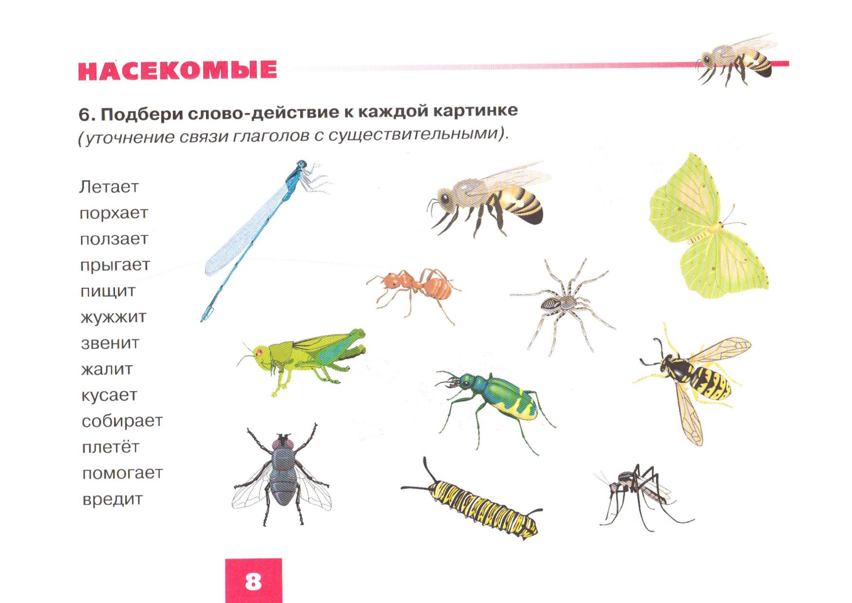 Животные птицы насекомые рыбы задания для дошкольников