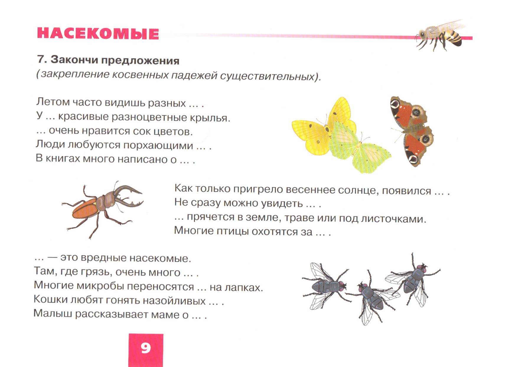 Презентация логопедия насекомые