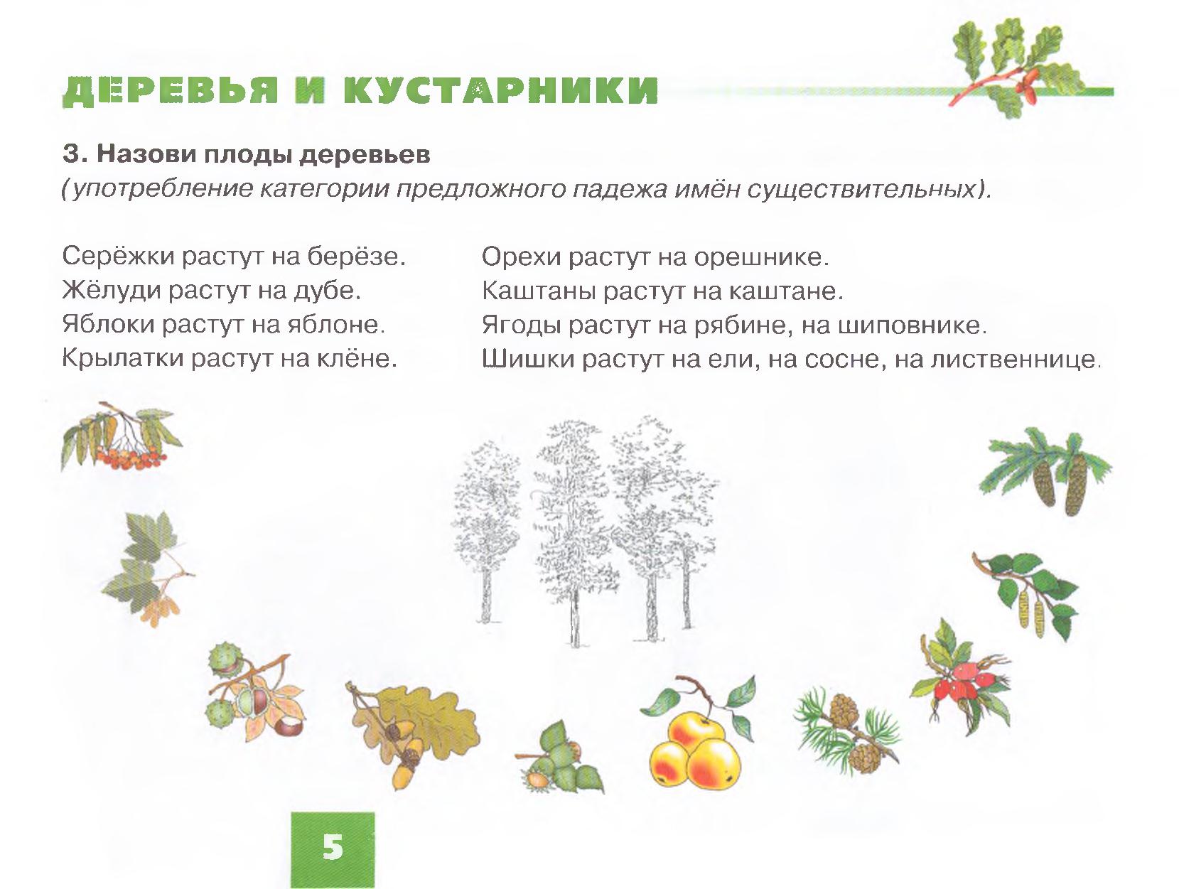 Дидактические игры на тему кустарники
