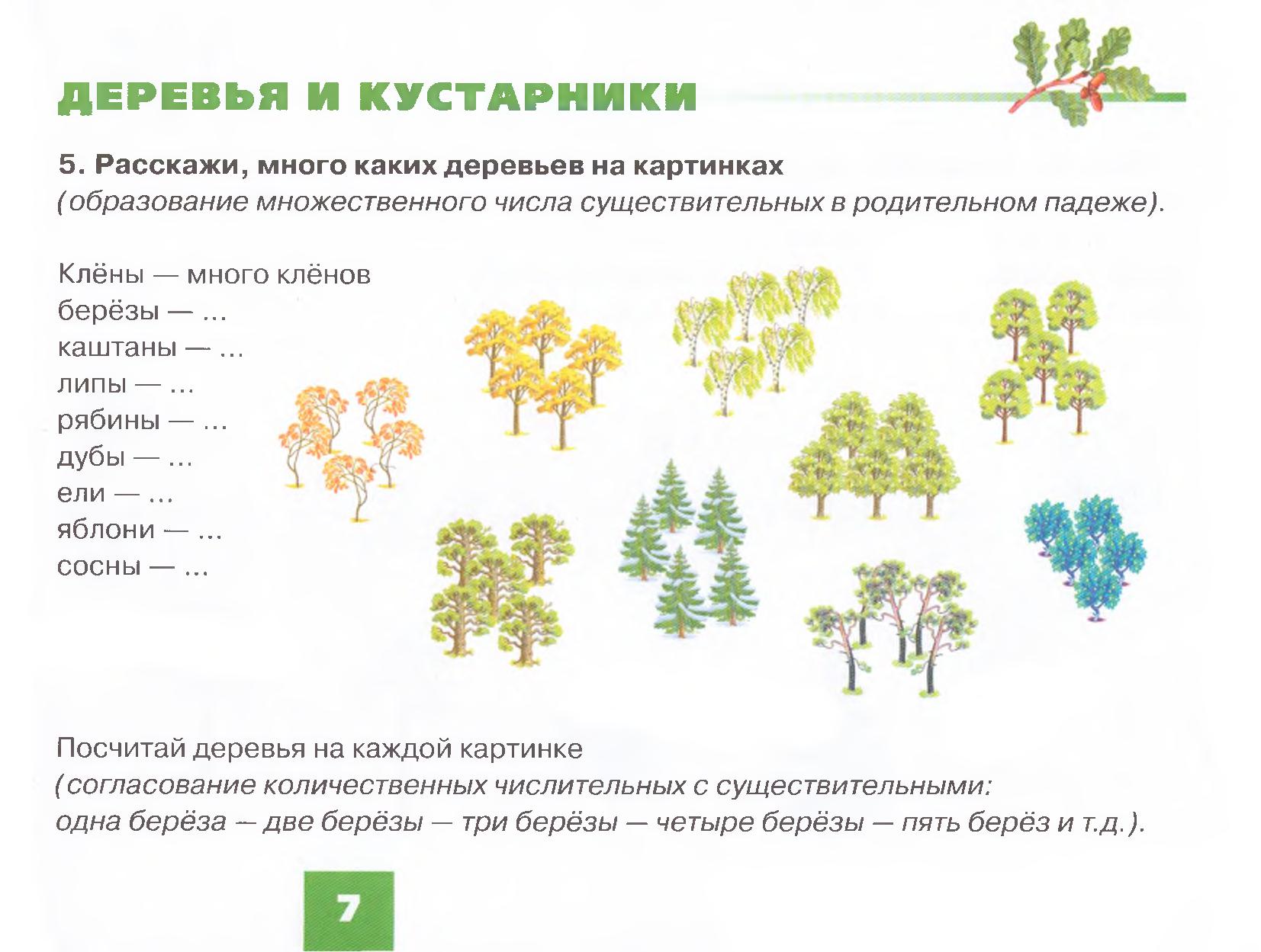 Кустарники картинки для детей дошкольного возраста