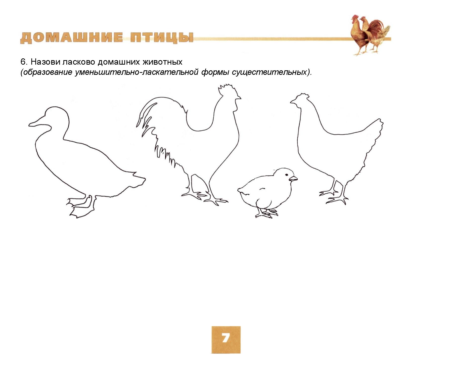 Зашумленные картинки домашние птицы