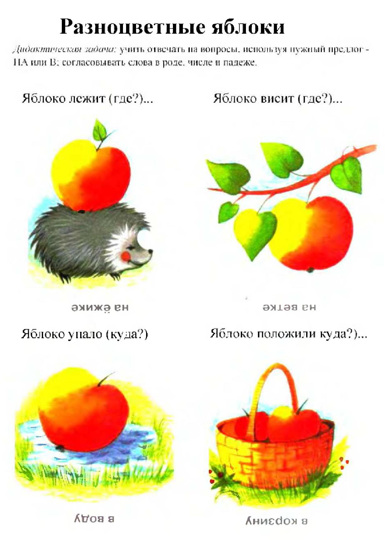 Предлог в для дошкольников в картинках