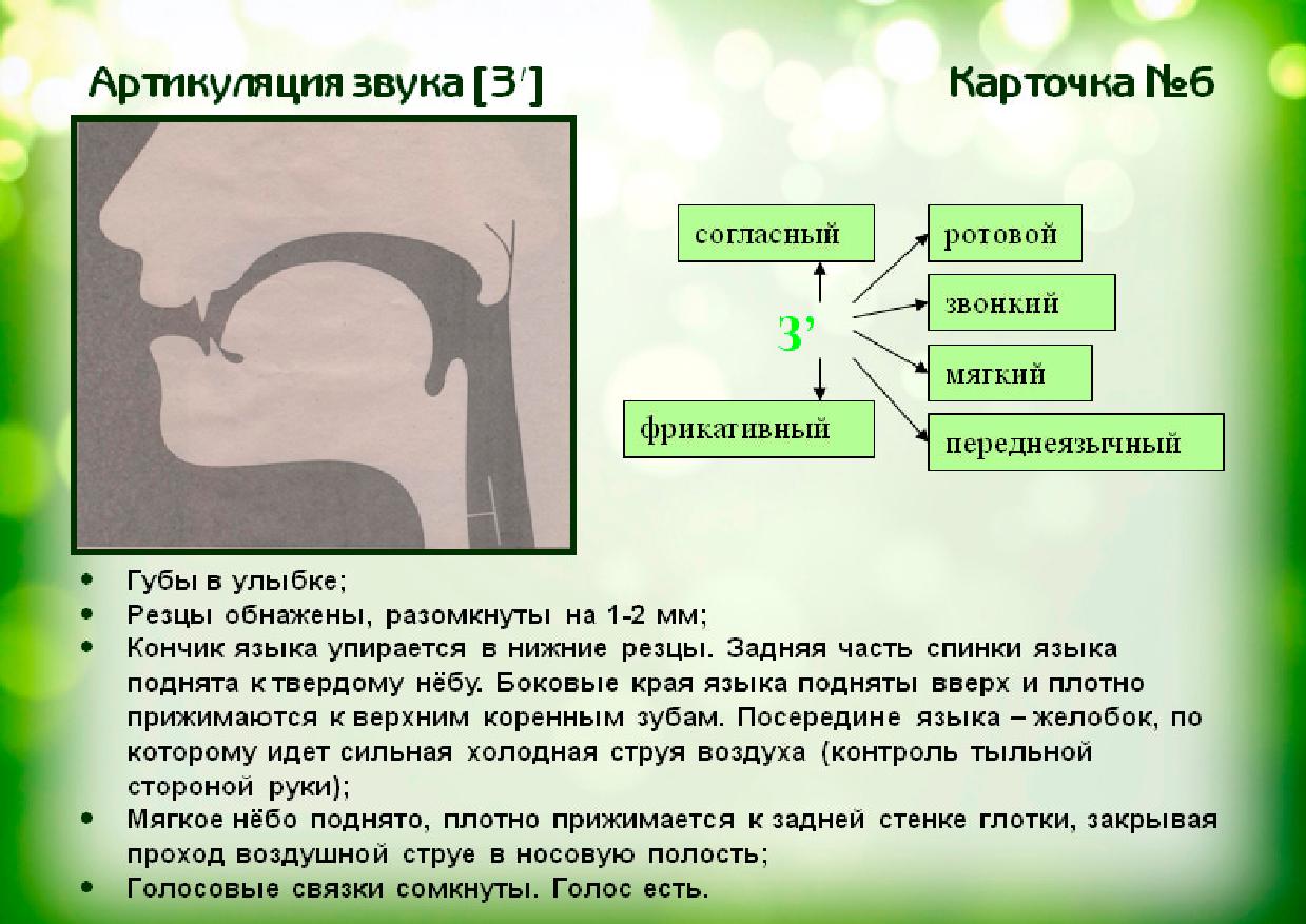 Схема артикуляции звука