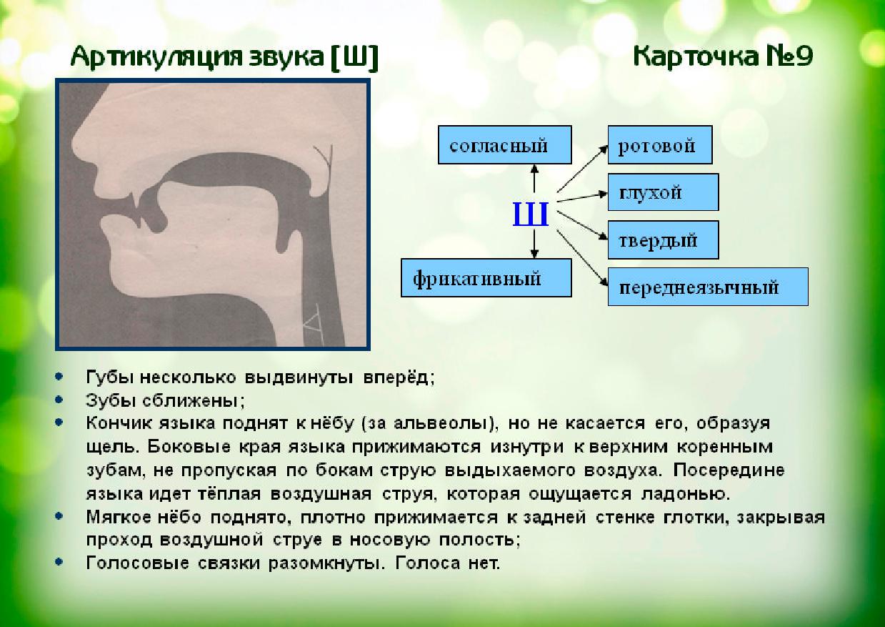 Звук Дристания