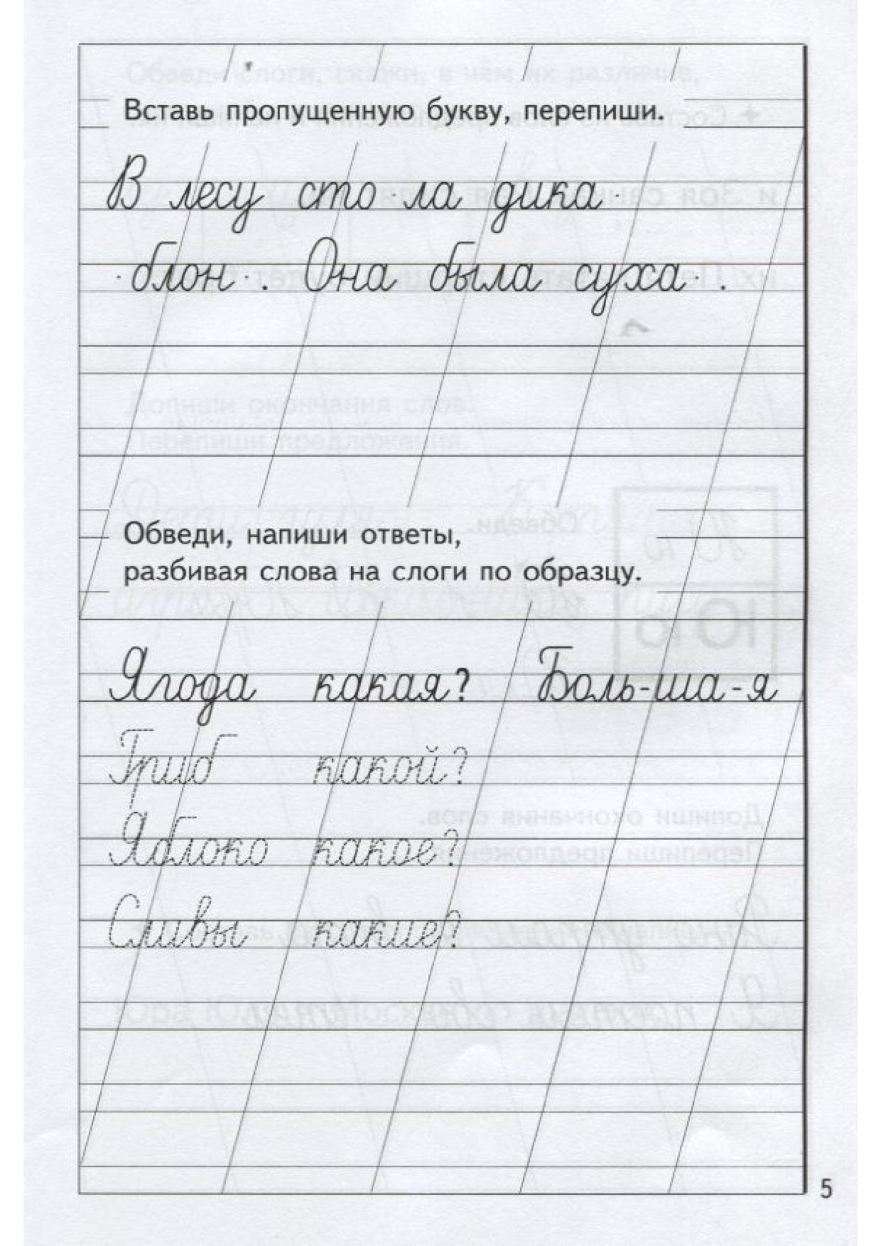 Прописи 1 Класс Слова И Предложения