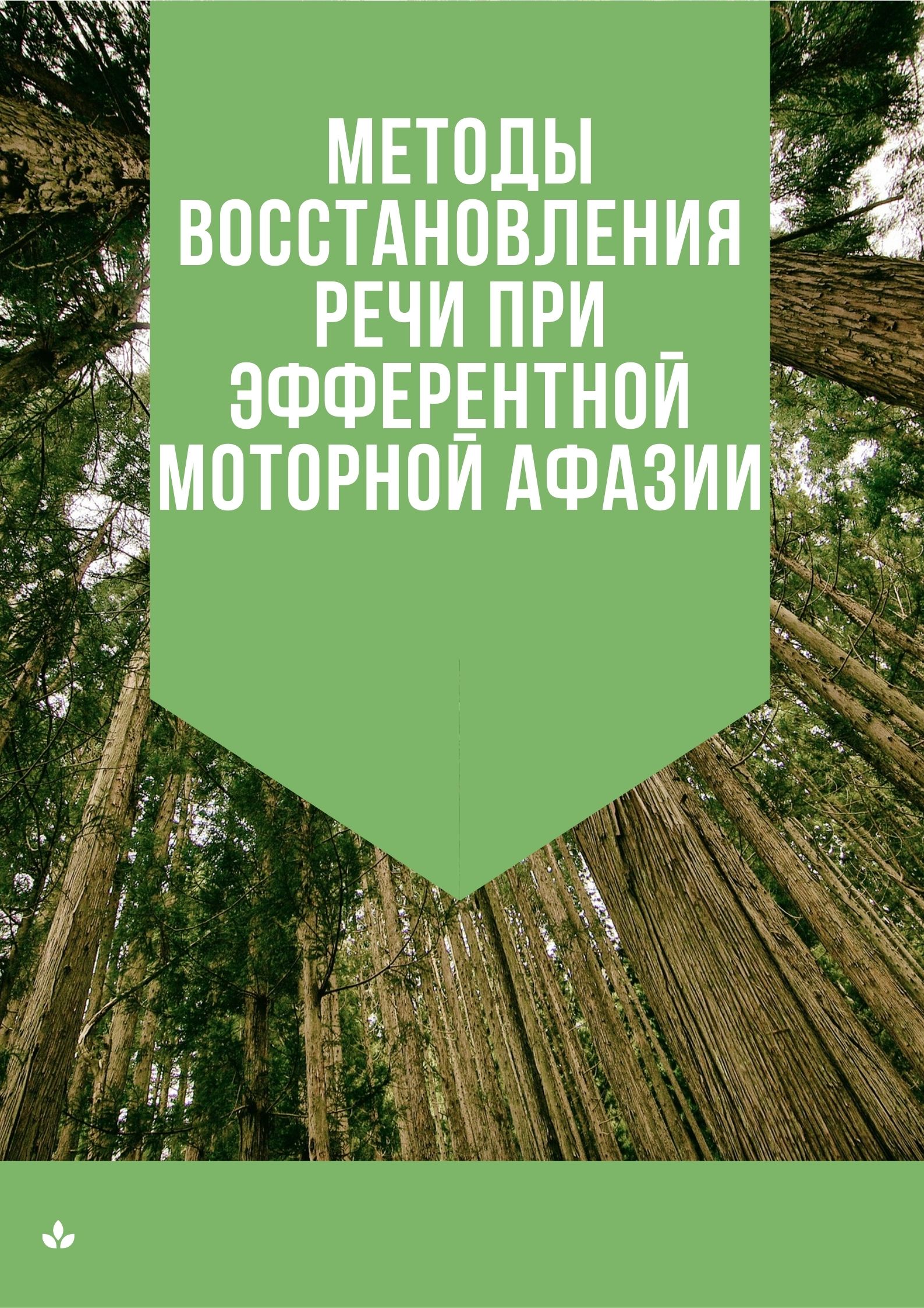 Методы восстановления речи при эфферентной моторной афазии