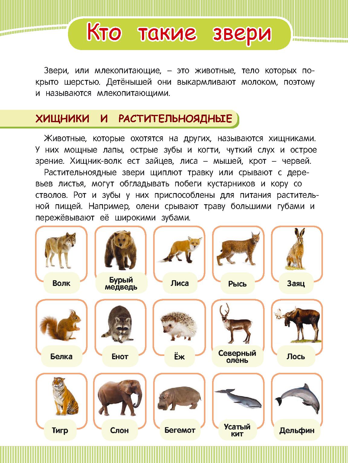 Назвать млекопитающих животных