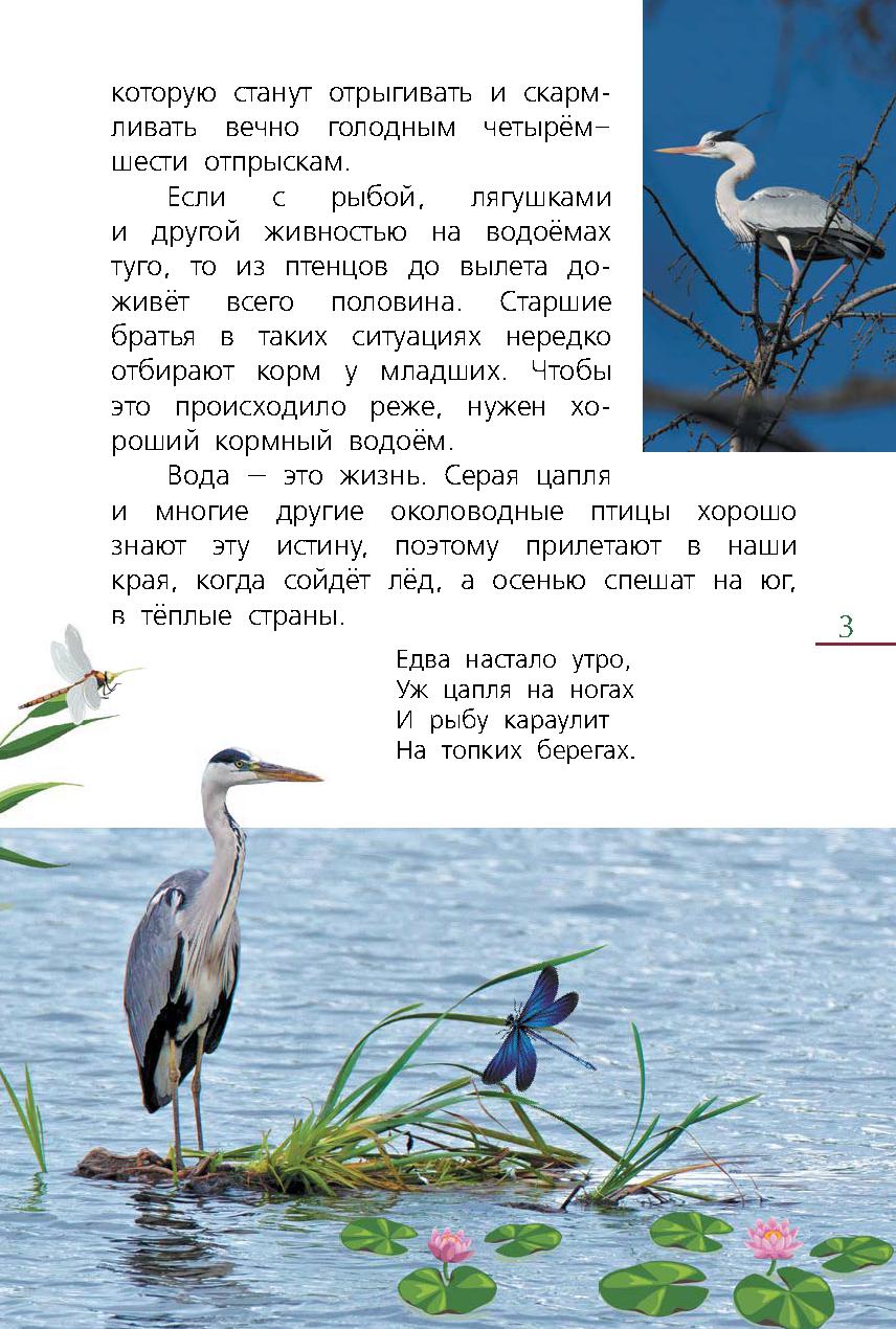 Стих Про Цаплю Для Детей Короткие