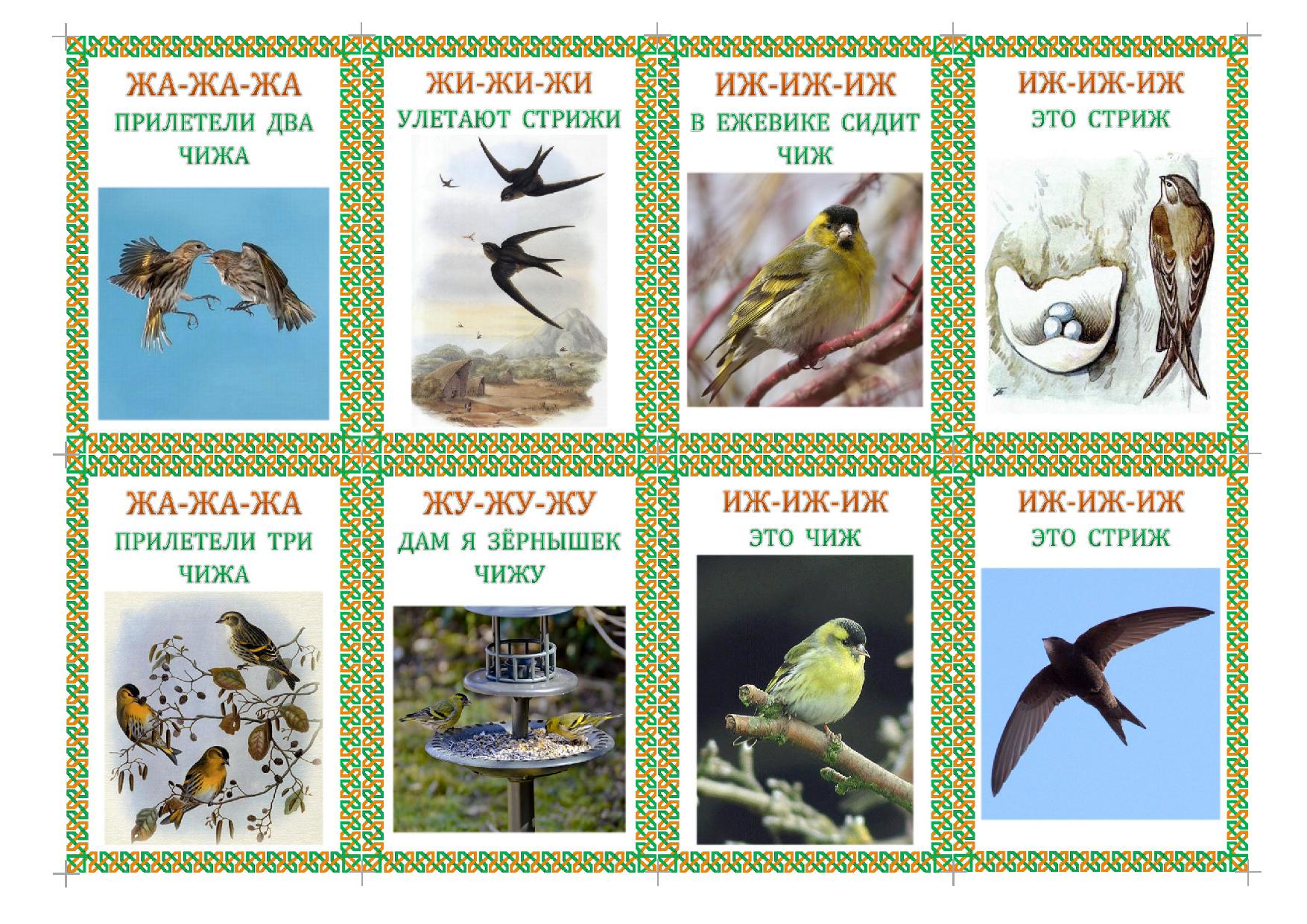 Чистоговорки в картинках. Звук Ж