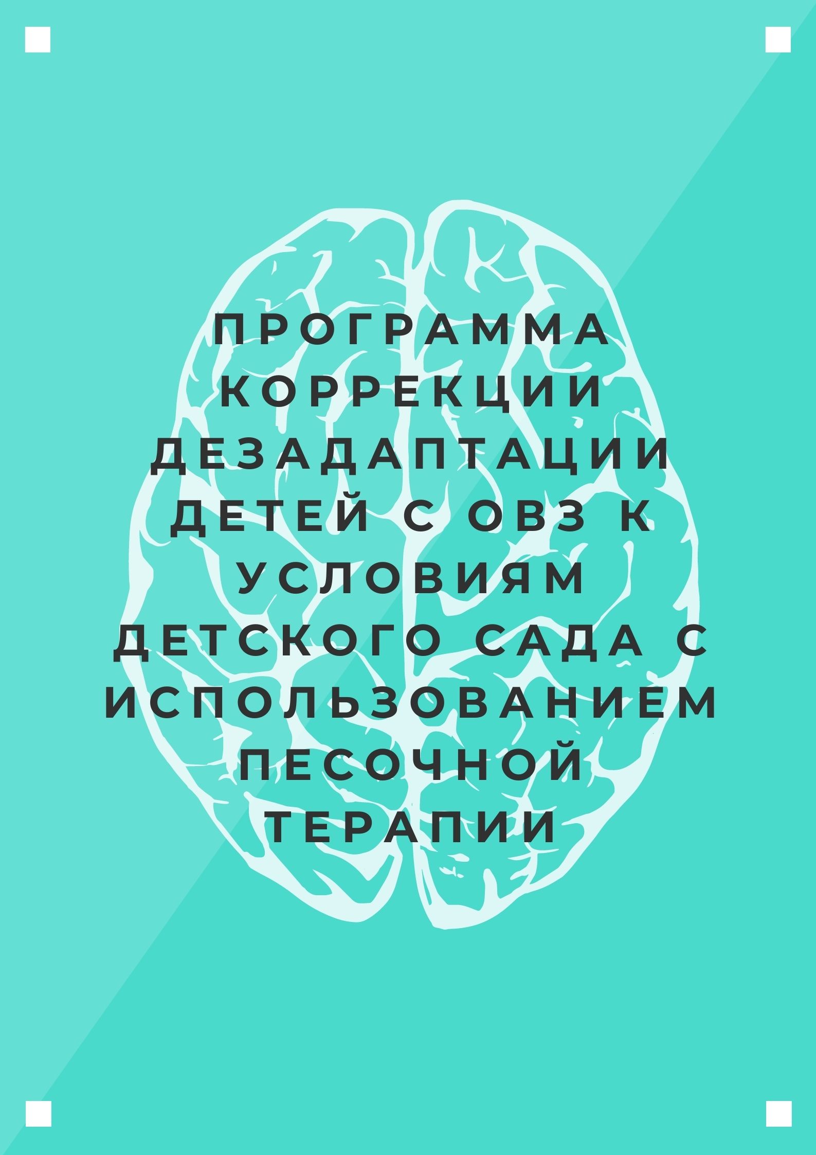 Программа коррекции дезадаптации детей с ОВЗ к условиям детского сада с использованием песочной терапии