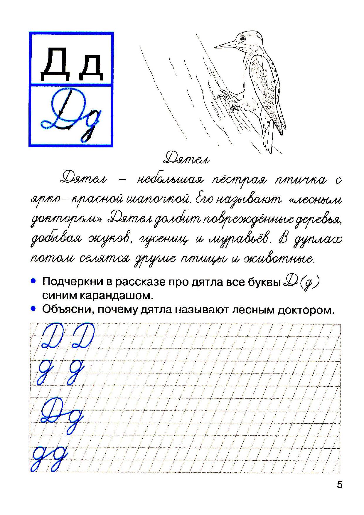 Прописи Животных
