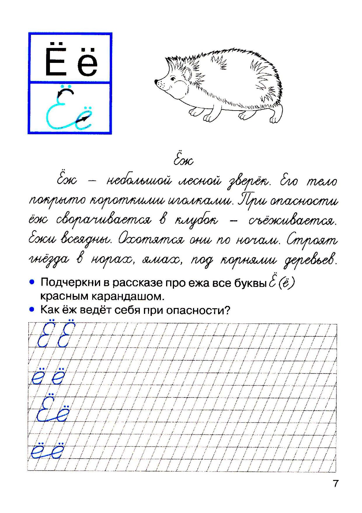 Прописи Животных
