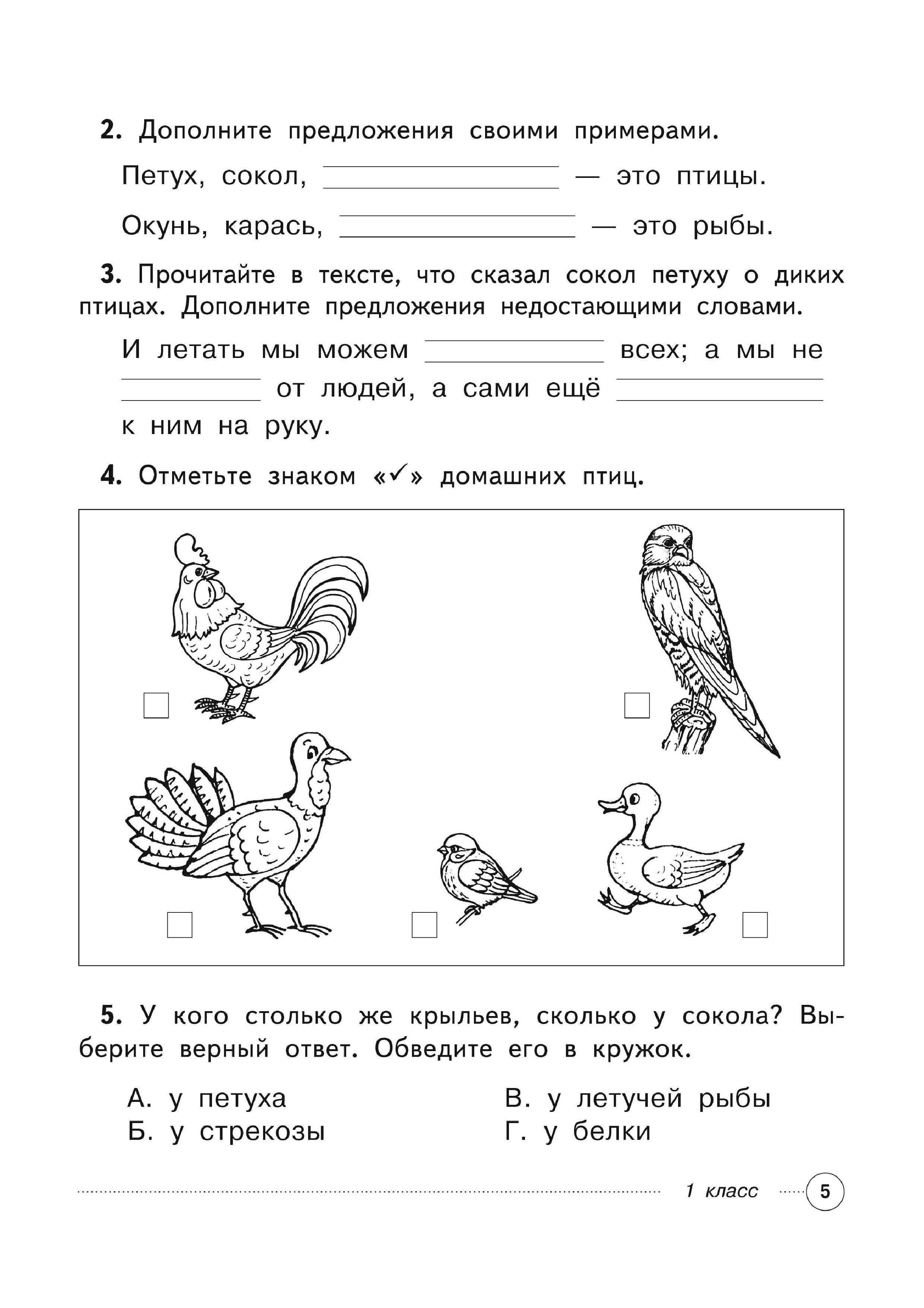 Комплексная работа 5 класс с ответами