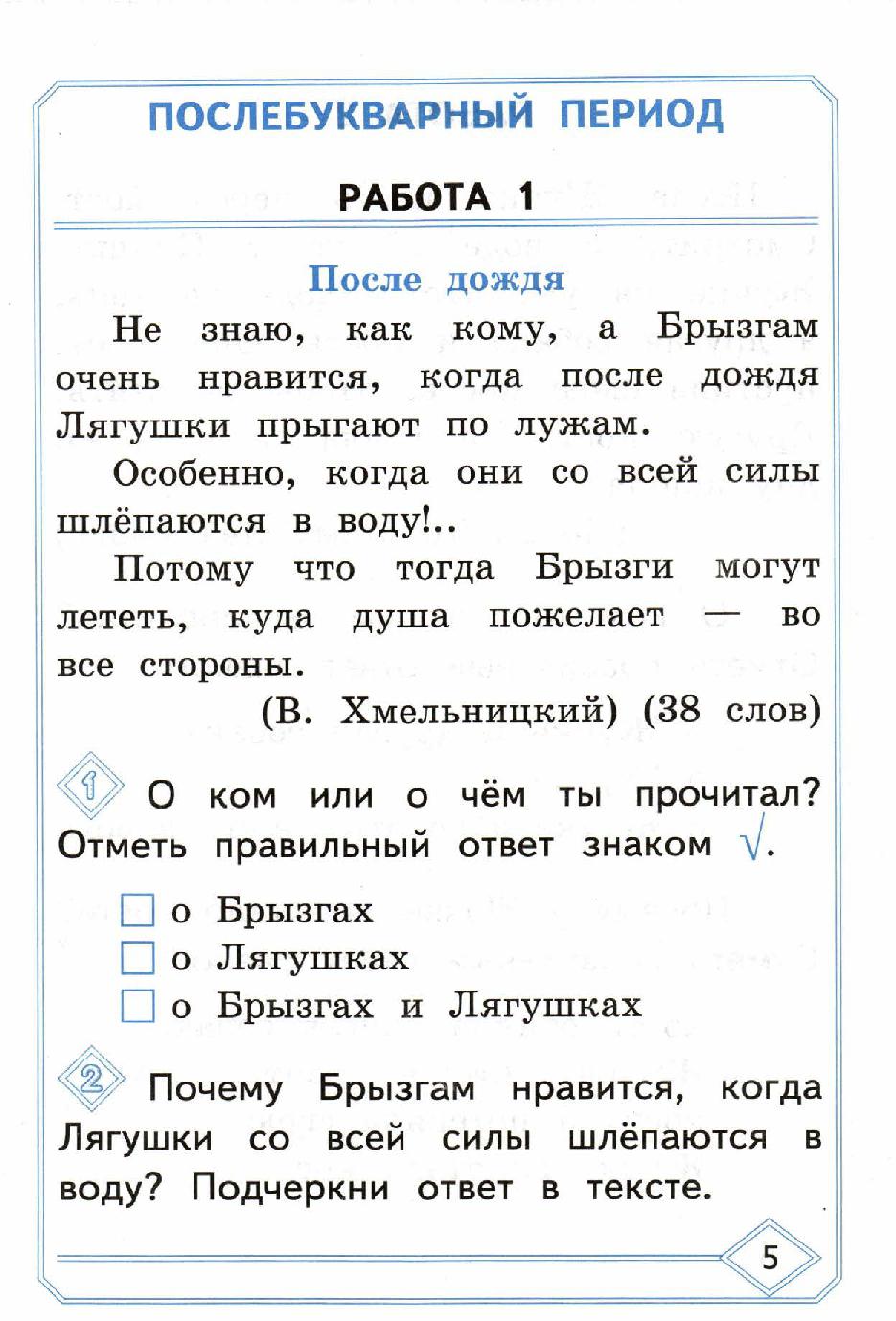 Текст читательская грамотность 8 класс