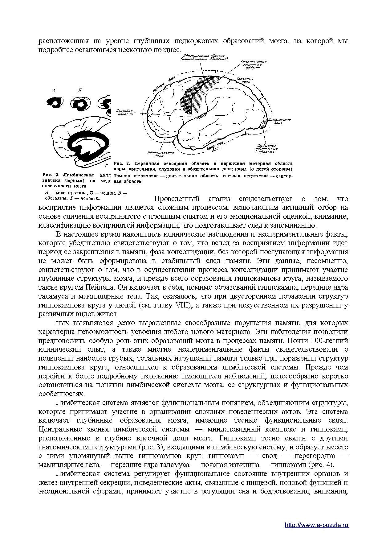 Жалобы на снижение памяти зябкость увеличение массы тела наблюдаются при