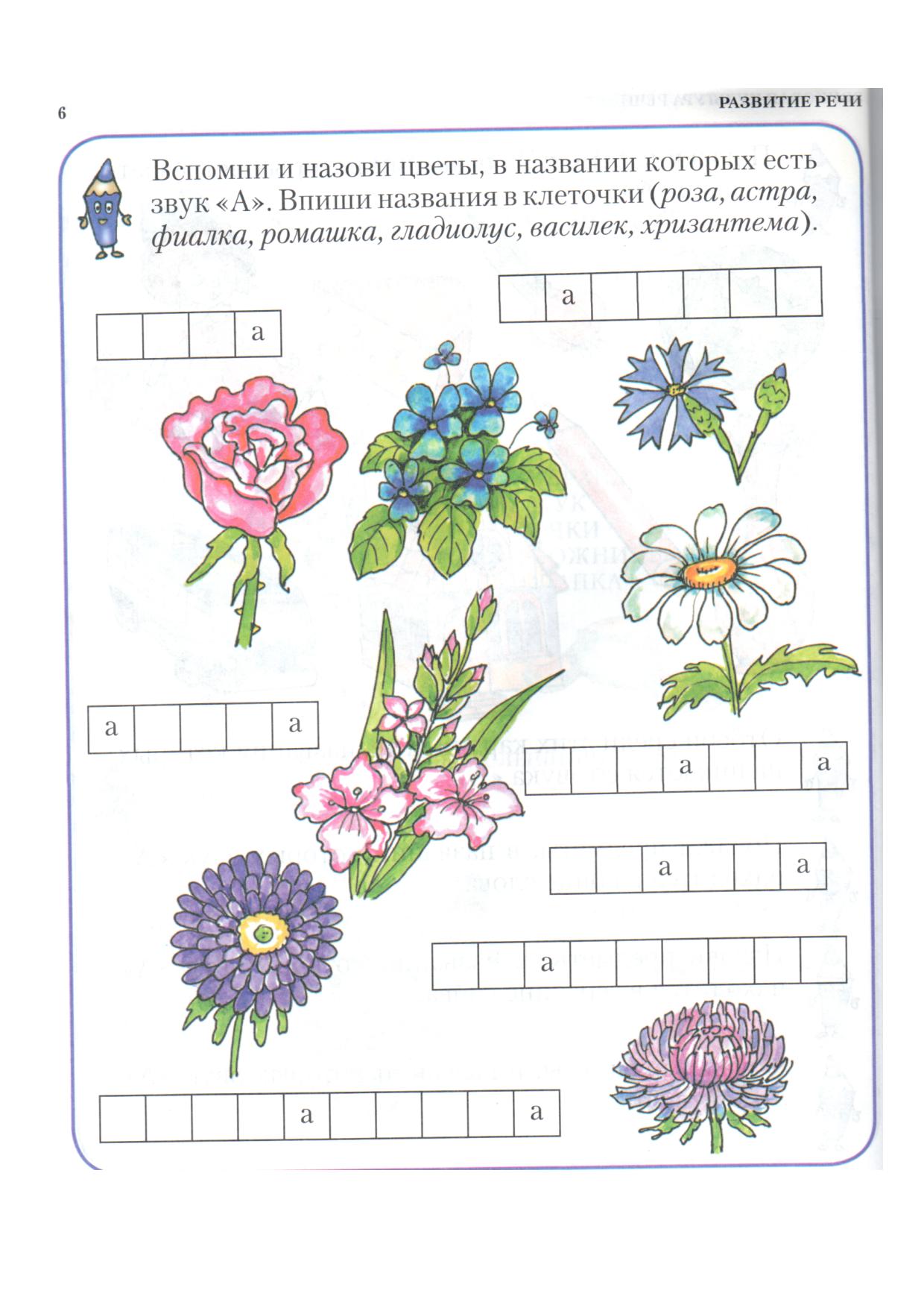 Ребята схема