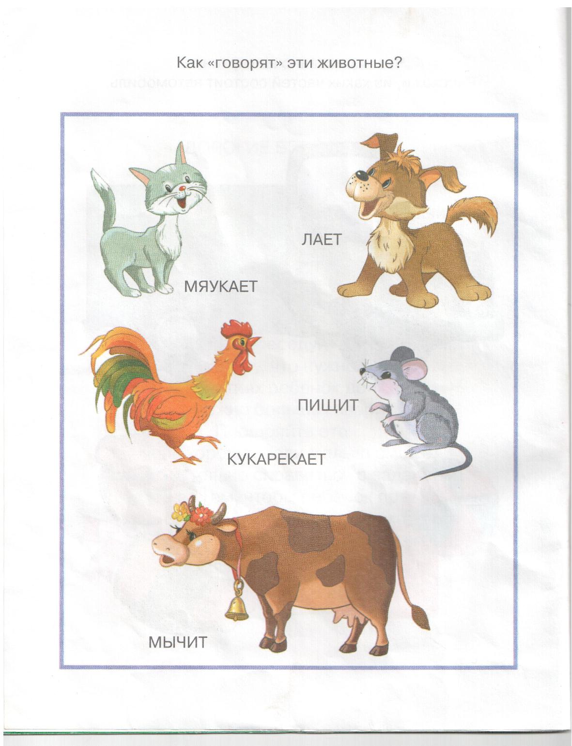 Книжки-картонки животные робинс. Карточки с животными для малышей. Говорящие животные для детей. Животных и как они разговаривают. Домашние животные.