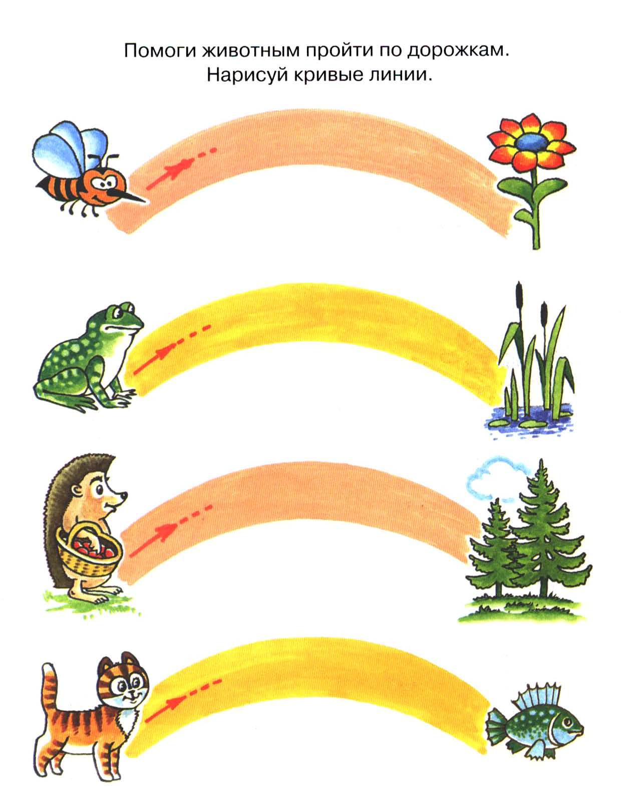 Цветные дорожки для детей. Дорожки для домашних животных. Дорожки задания для дошкольников. Пройдясь по дорожке. Цветные дорожки для детей.