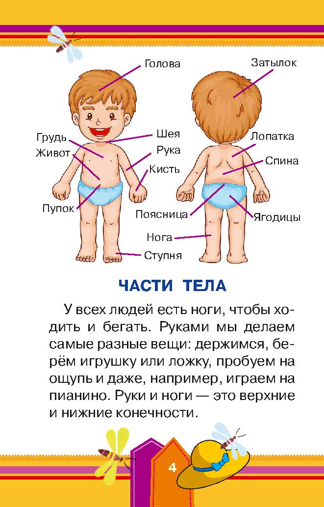 Конспект урока по теме "Части тела"