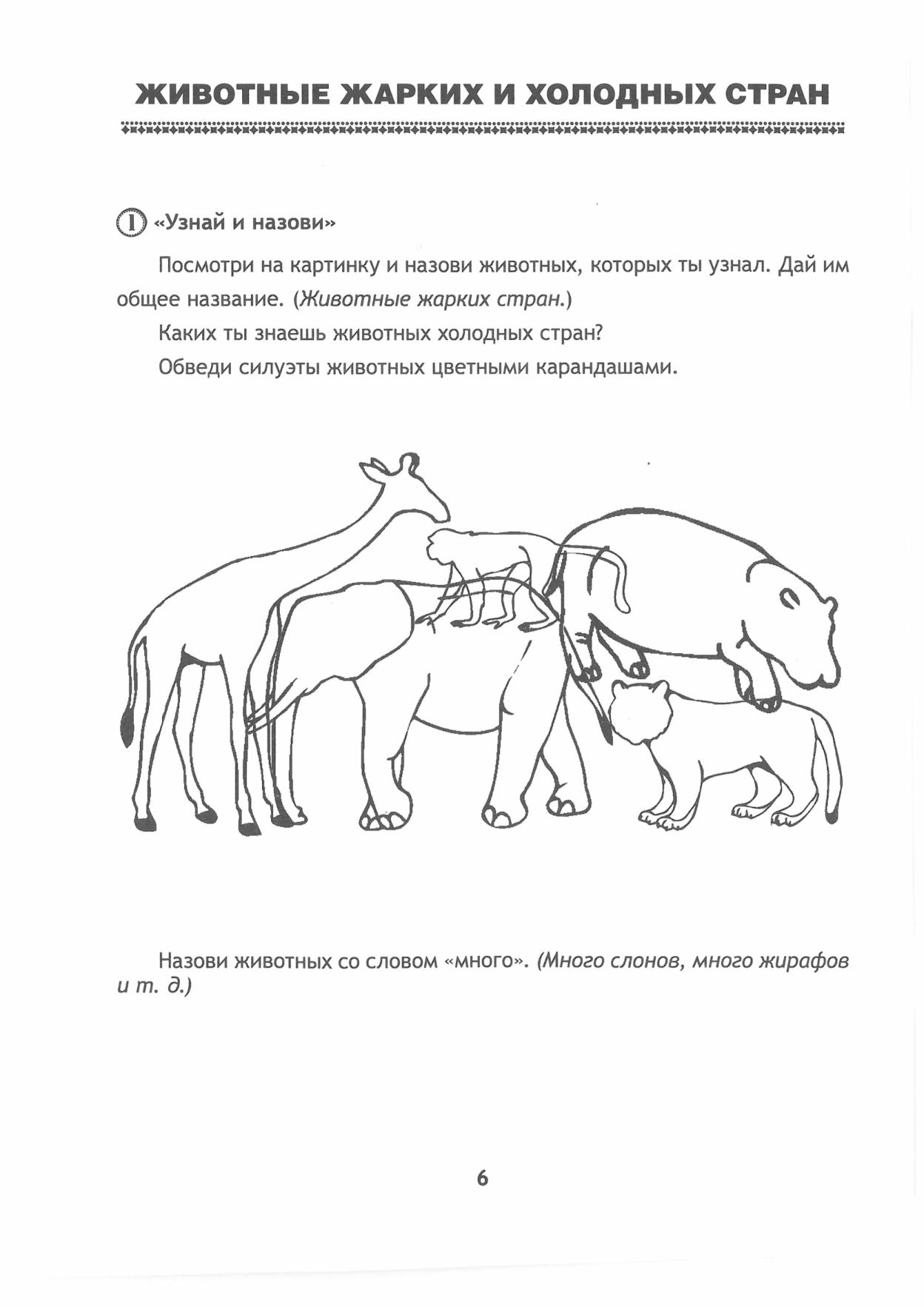 Животные Жарких И Холодных Стран